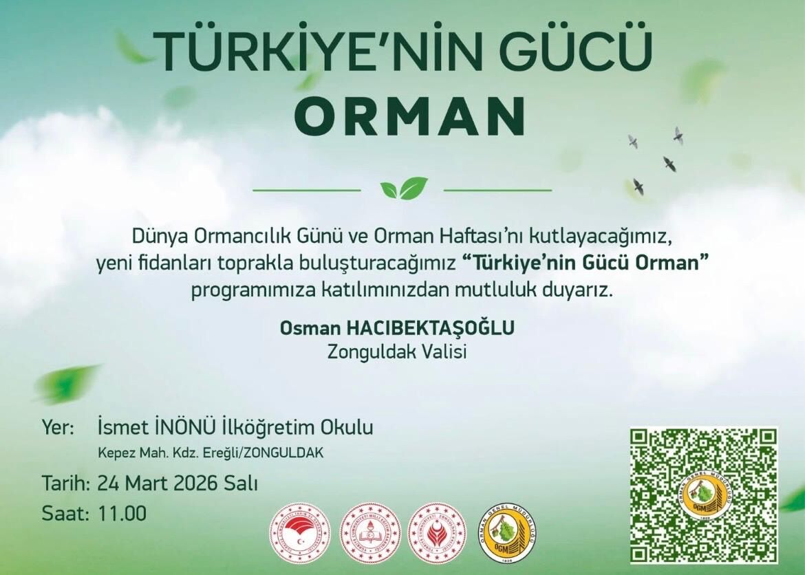 3Ac80A8A Dd4B 4700 8Fda 53E4A9837Cba