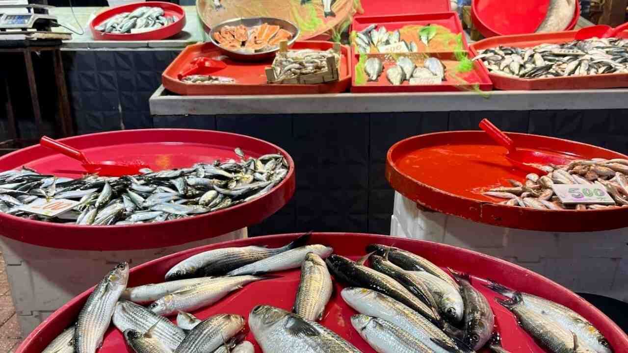 Balığın Faydaları! Zonguldak Imza Gazetesi