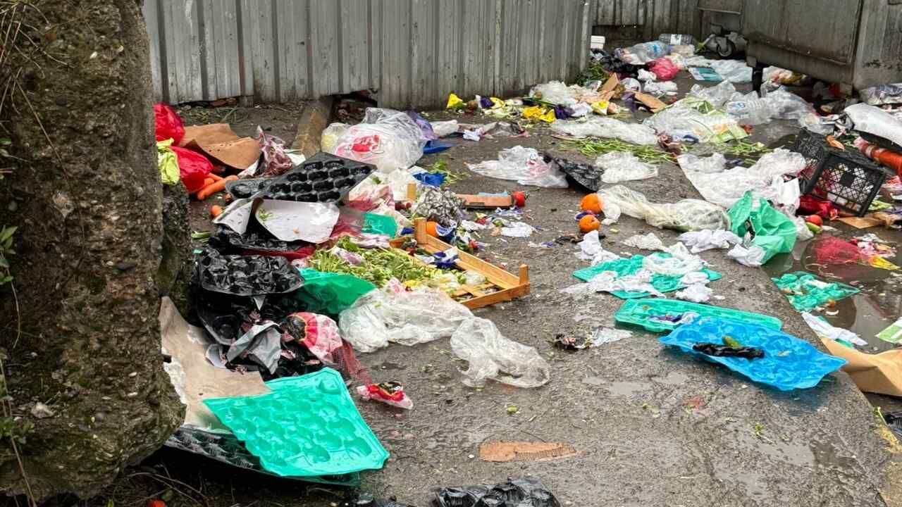 Çöpler Yollara Saçıldı, Koku Şehri Sardı Imza Zonguldak