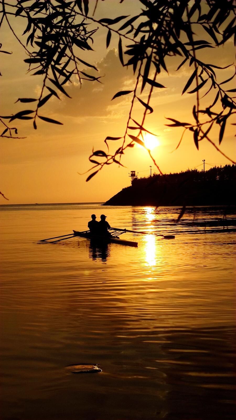 Gülüç’te Kürek Kültürü Oluşuyor! İmza Gazetesi̇ (2)