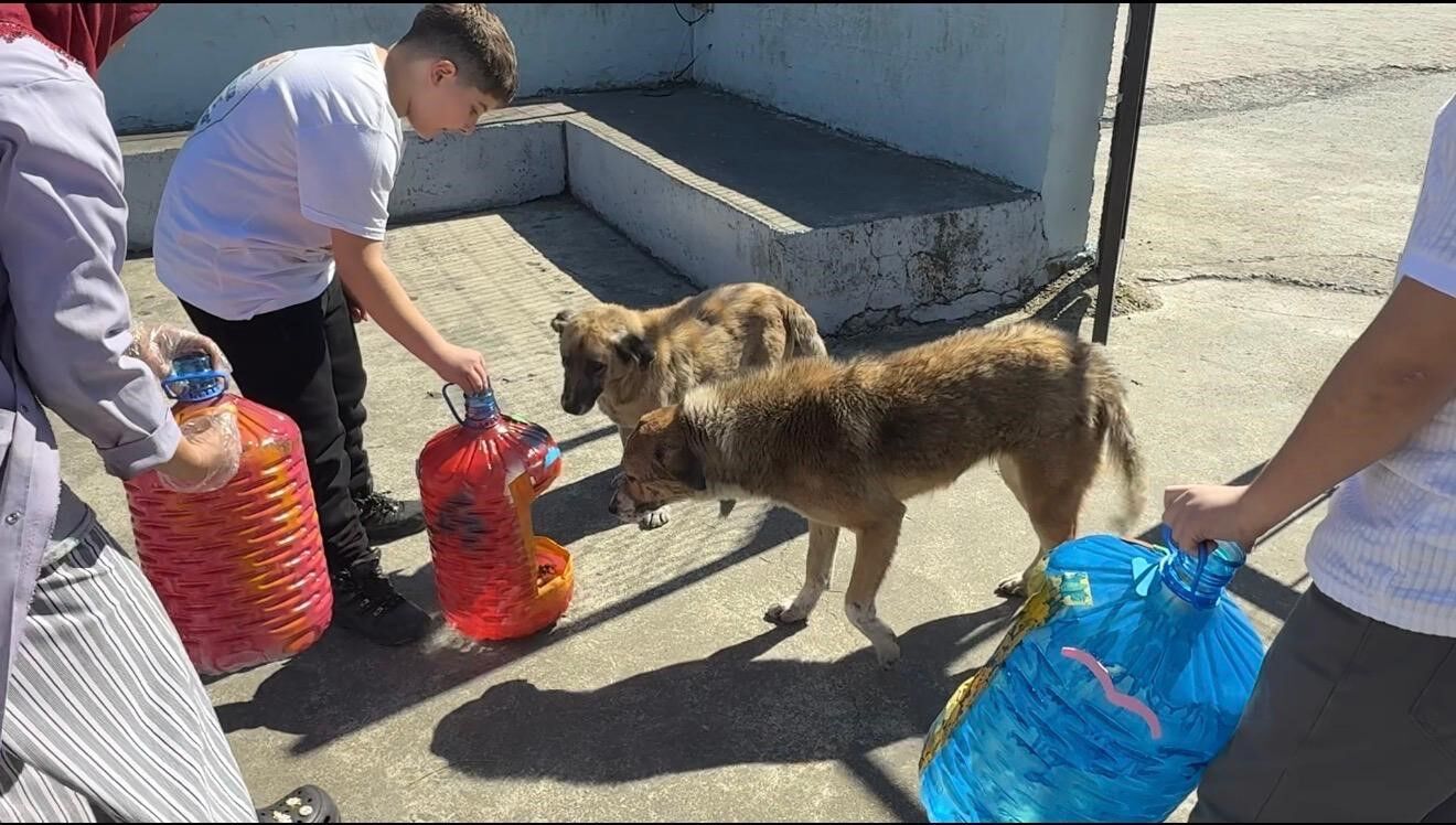 İsraf Edilen Yemekler Mama Oldu! İmza Gazetesi (9)