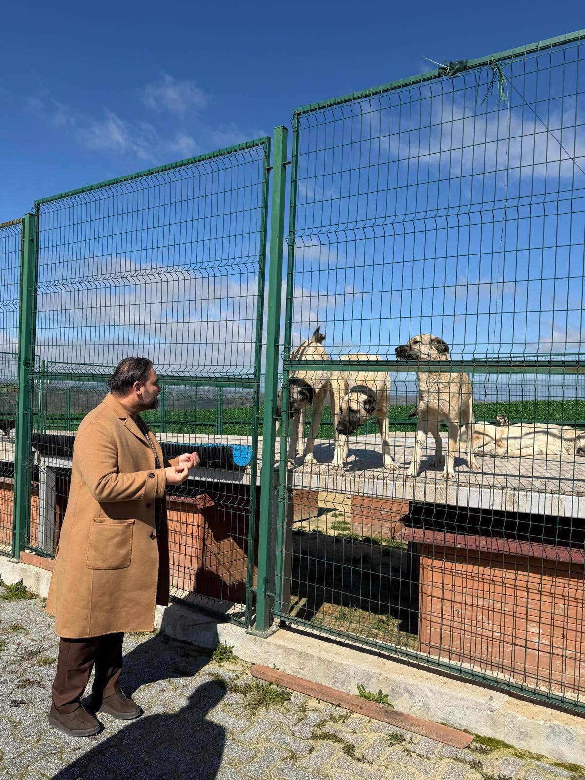 Nejdet Tıskaoğlu, Ali Rıza Tığ'dan Kazandığı Tazminatla Köpekleri Besledi! İmza Gazetesi (5)-1