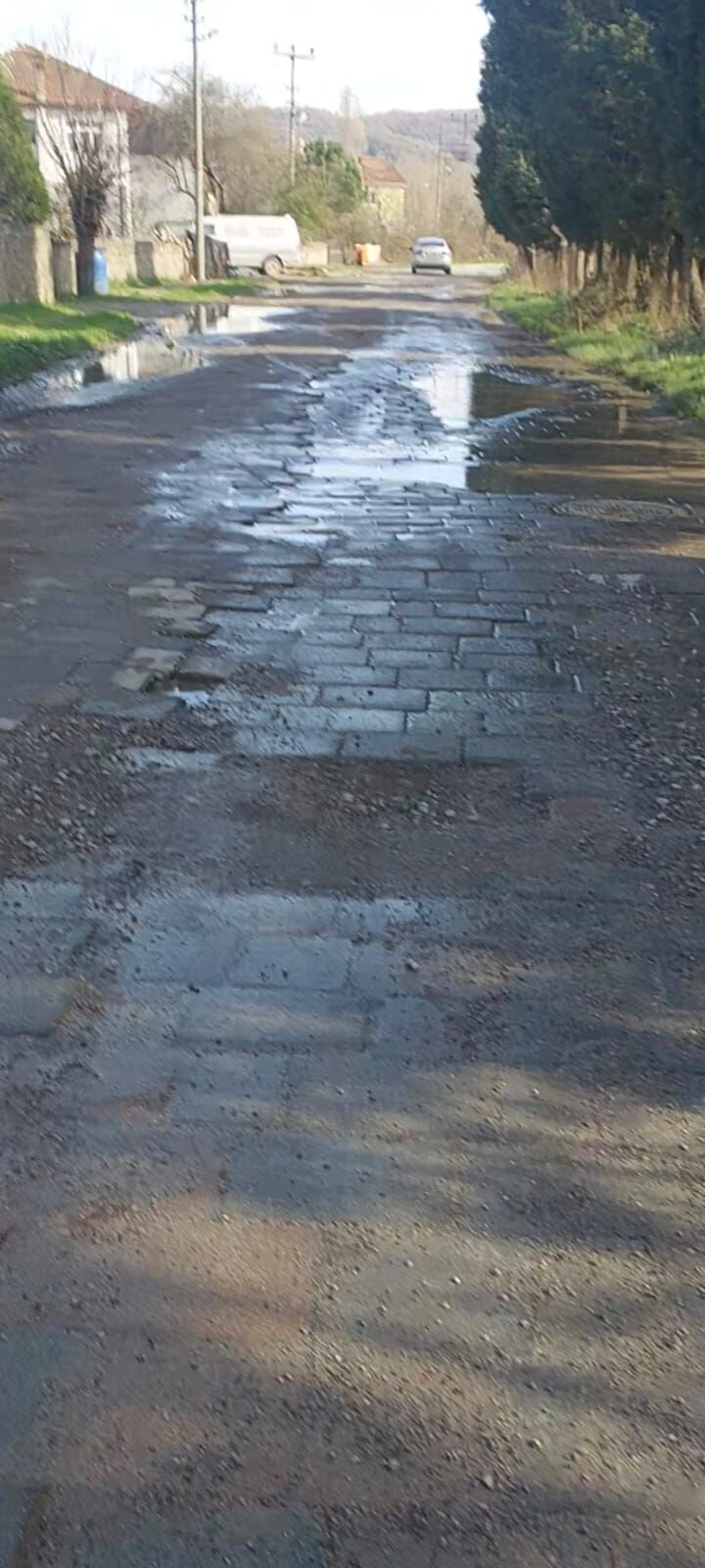 Whatsapp Image 2026 03 05 At 14.55.50 (1)