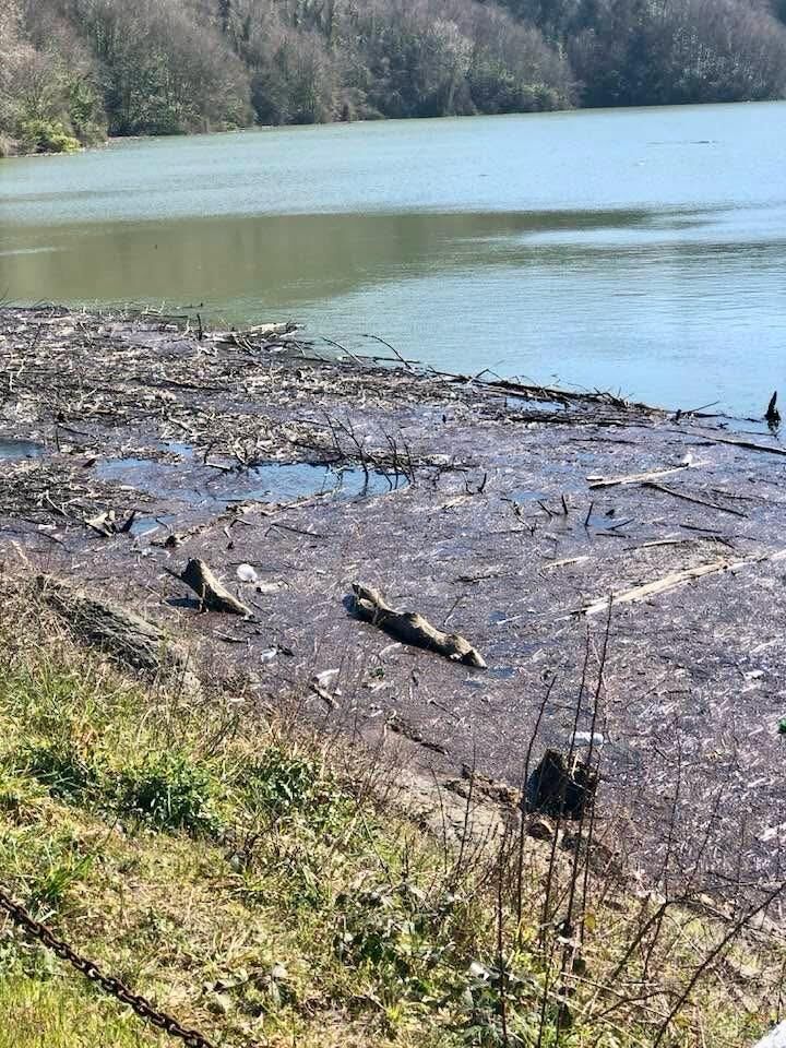 Whatsapp Image 2026 03 11 At 14.00.16 (2)