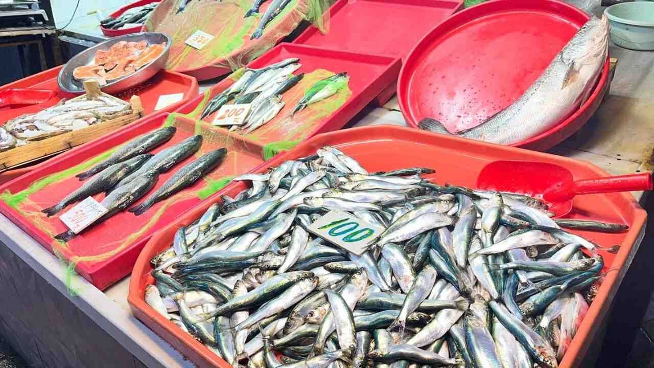 Zonguldak Balık Fiyatları Imza Gazetesi