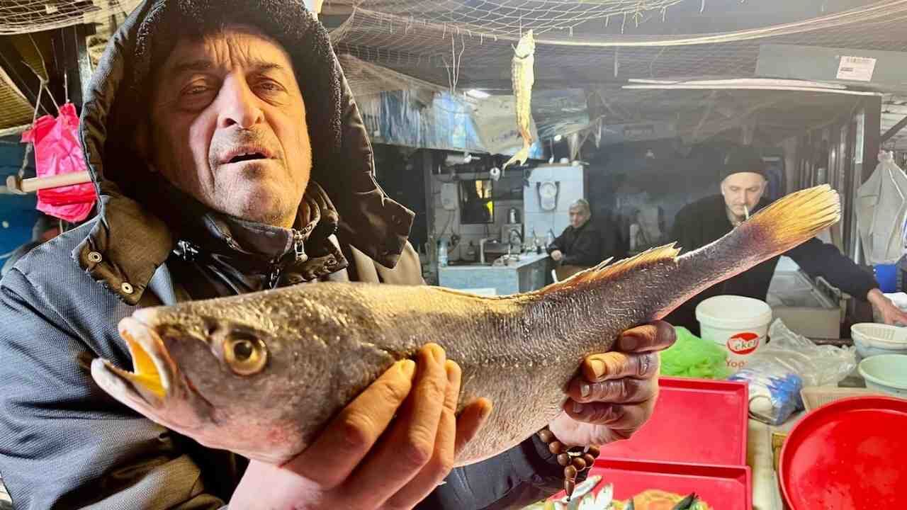 Zonguldak Balık Imza Gazetesi