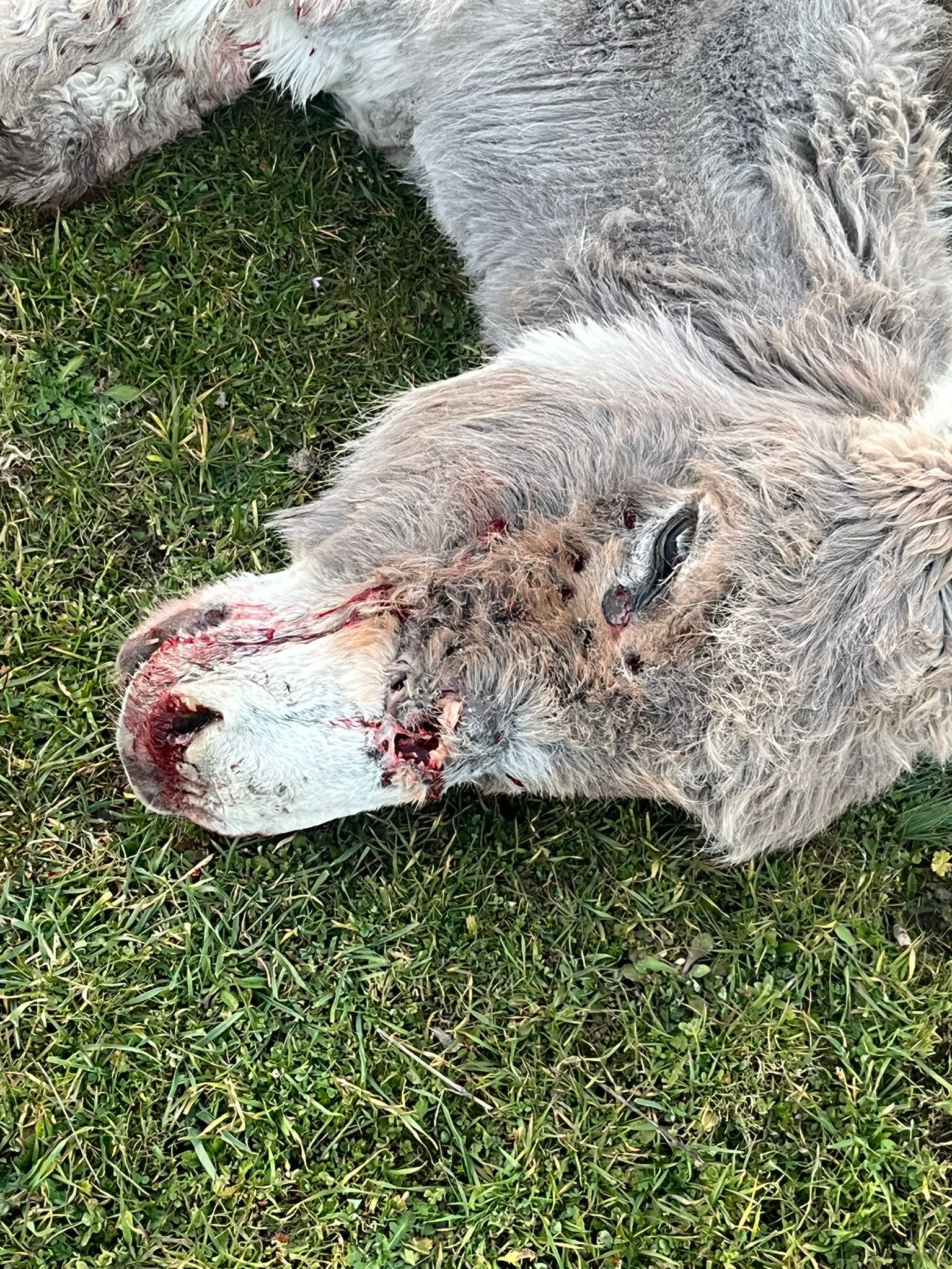 Zonguldak Çaycuma Köy Imza Gazetesi