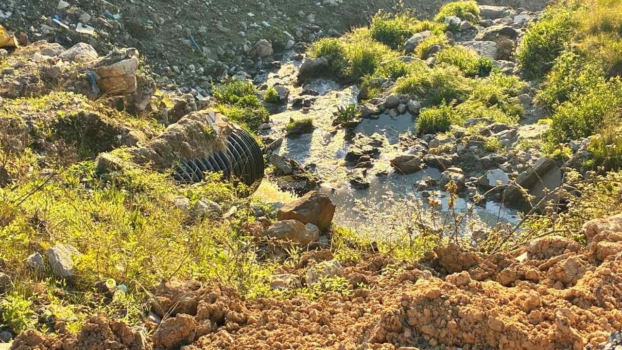 Afs İmza Gazetesi Kopyası
