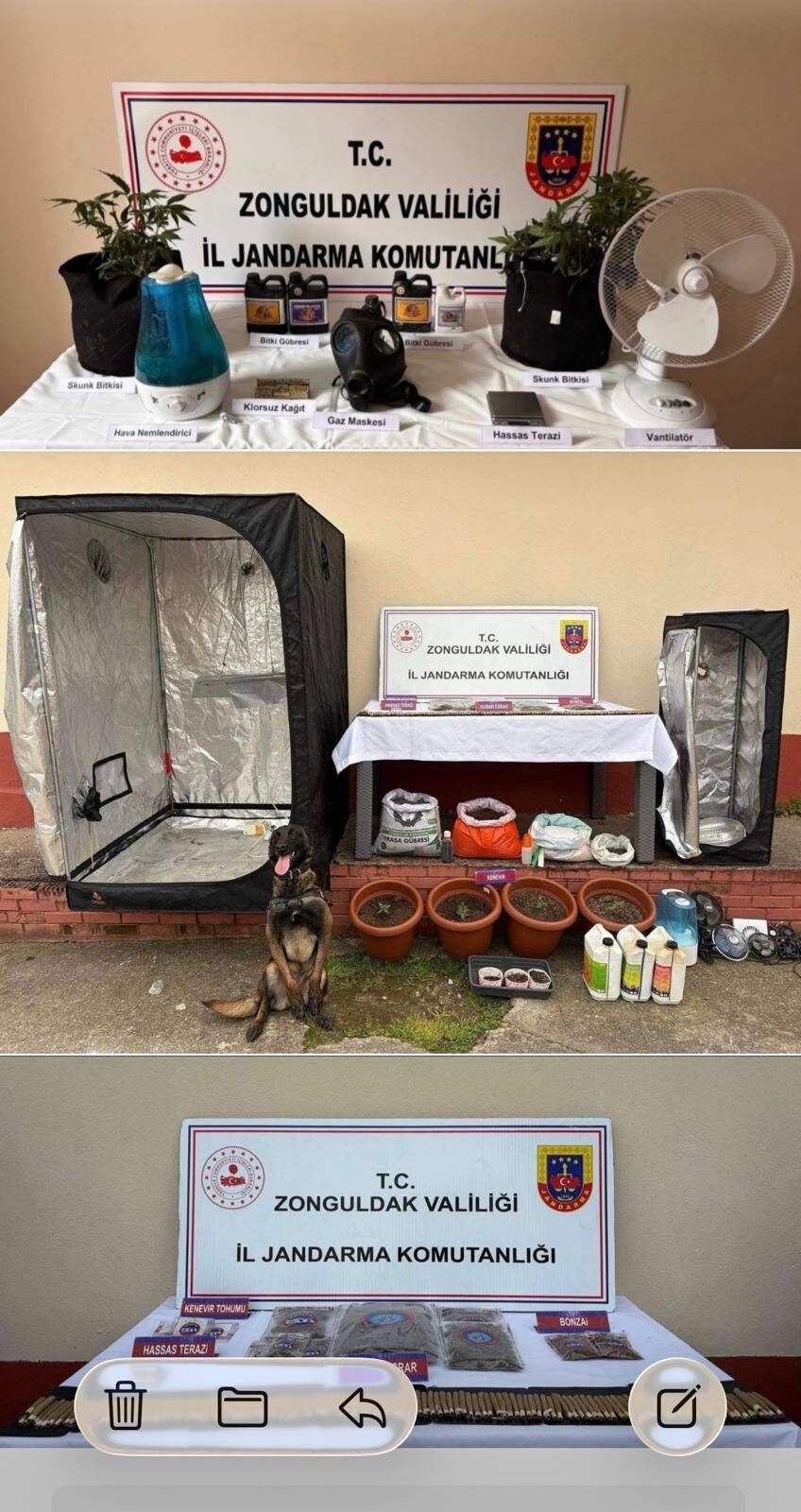 I M G 20260405 W A0000