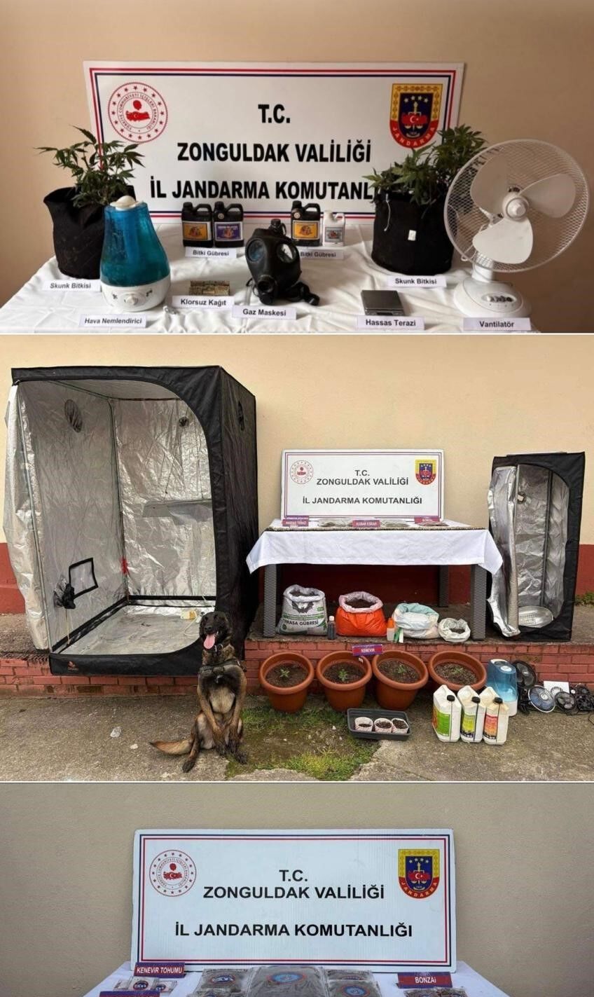 Jandarma Operasyonu Zonguldak-1