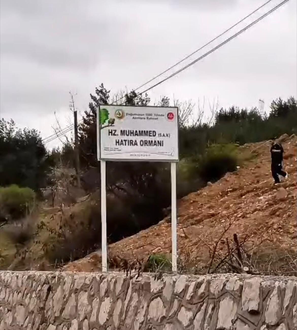 Komşuda Hz. Muhammed (Sav) Hatıra Ormanı! Imza Gazetesi