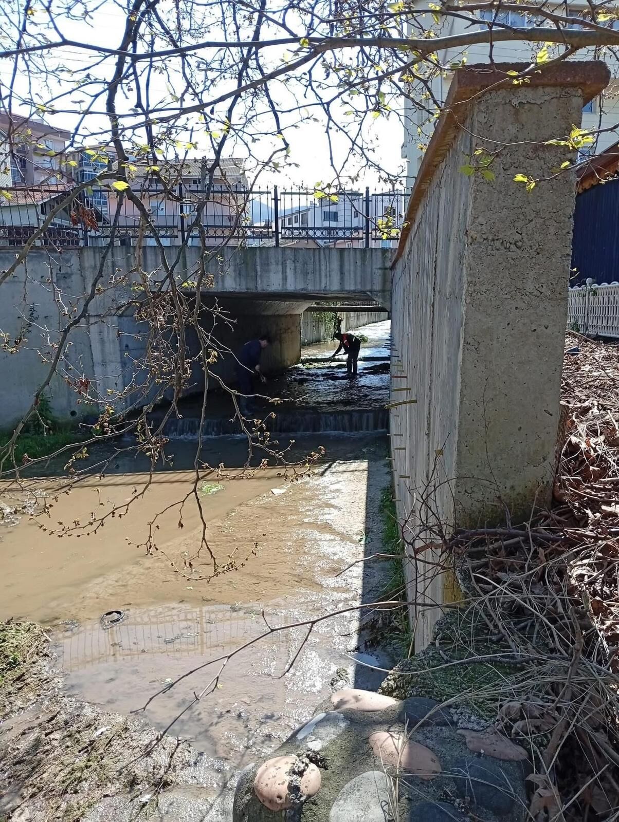 Komşuda Larva Ve Sinekler Gözlem Altında İmza Gazetesi̇