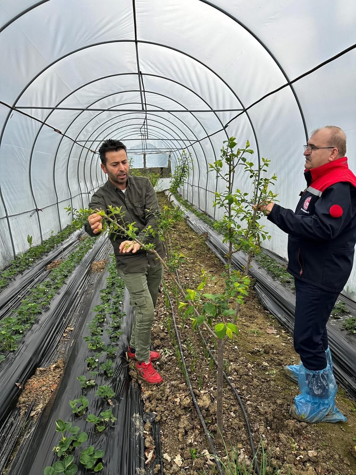 Müdür Erik Serasını İnceledi Imza Gazetesi (2)