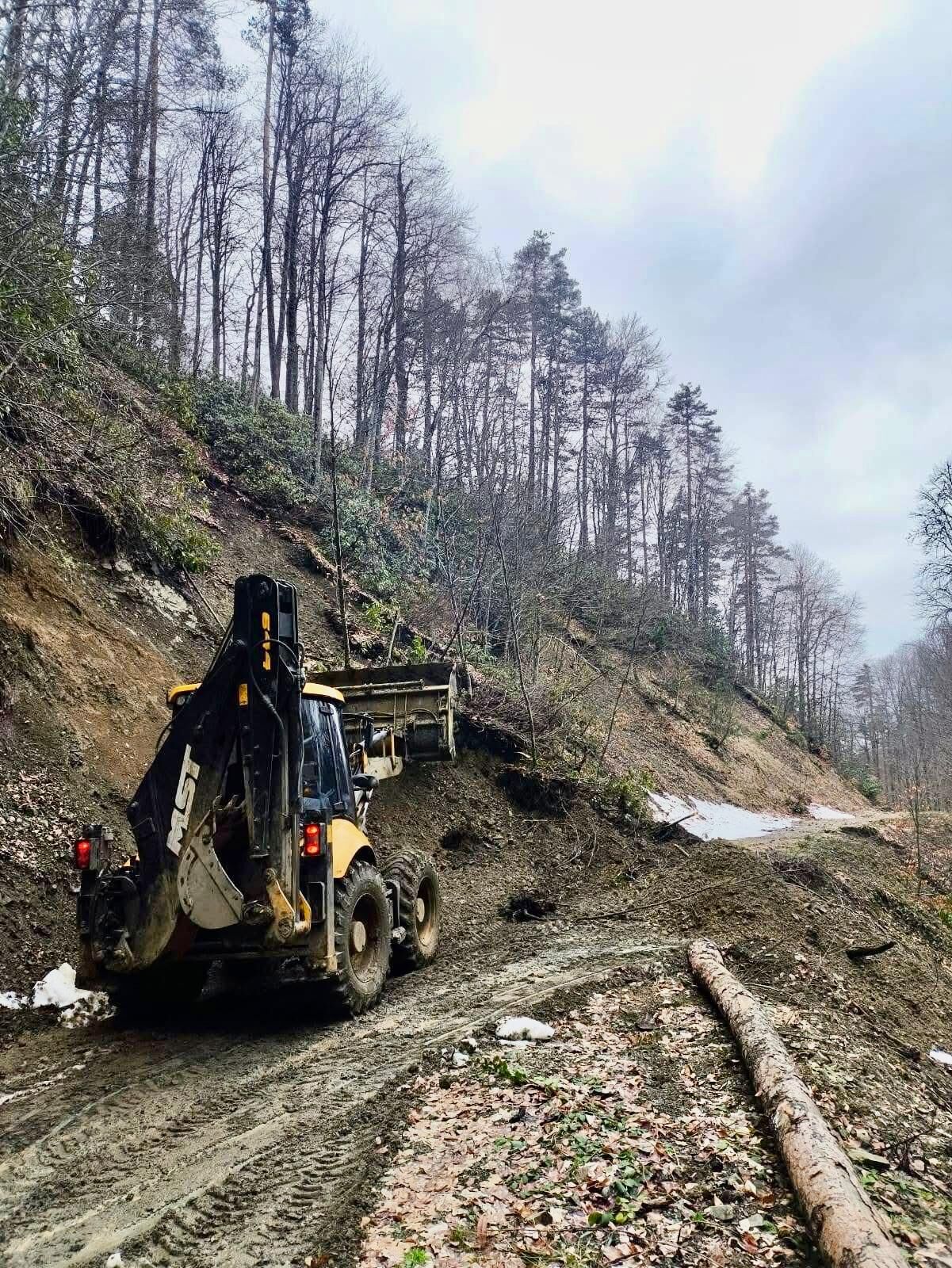 Orman Yolları Açık, Yeşil Vatan Güvende Imza Gazetesi