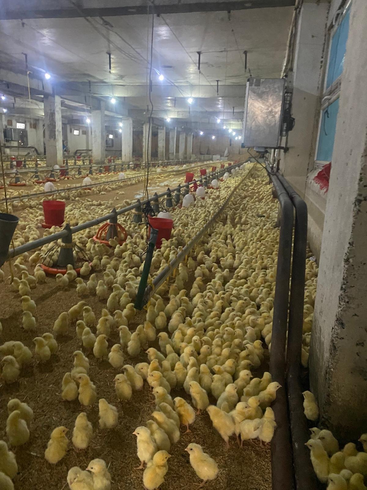 Üretici, Girdi Maliyetleri Altında Eziliyor İmza Gazetesi (4)