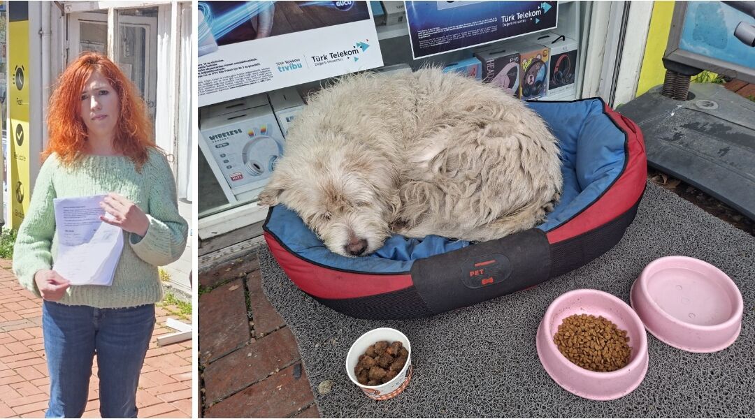 Whatsapp Image 2026 04 01 At 14.35.05 (1)