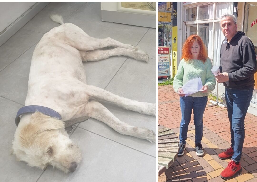 Whatsapp Image 2026 04 01 At 14.35.05