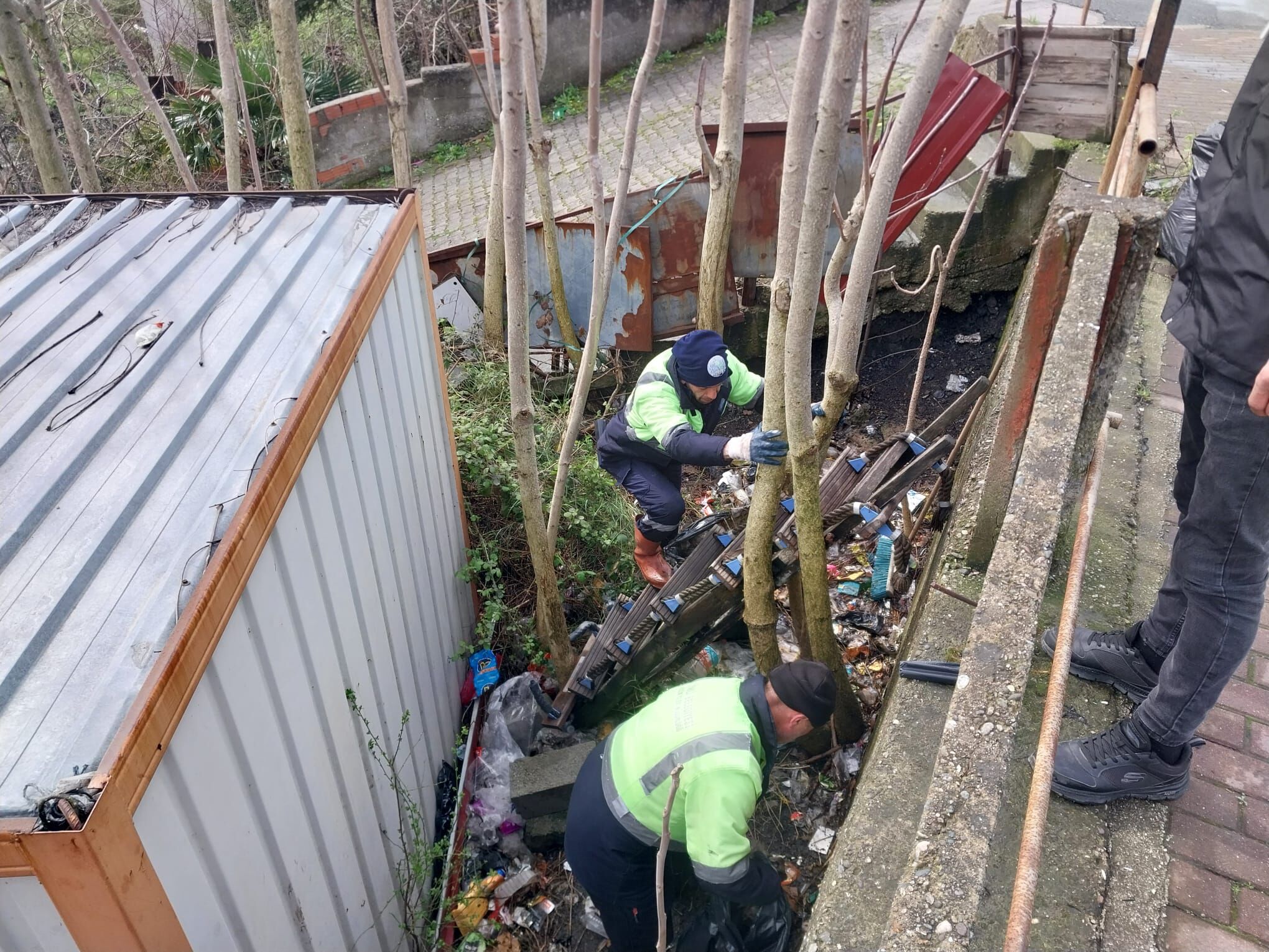 Whatsapp Image 2026 04 03 At 11.41.51