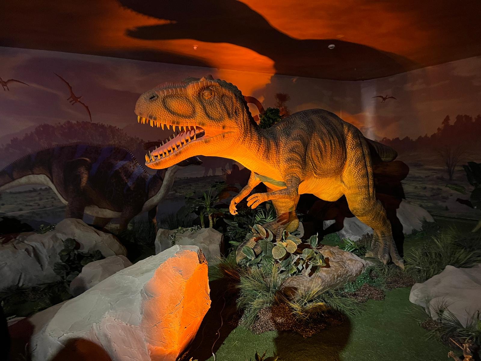 Whatsapp Image 2026 04 26 At 12.04.04 (1)