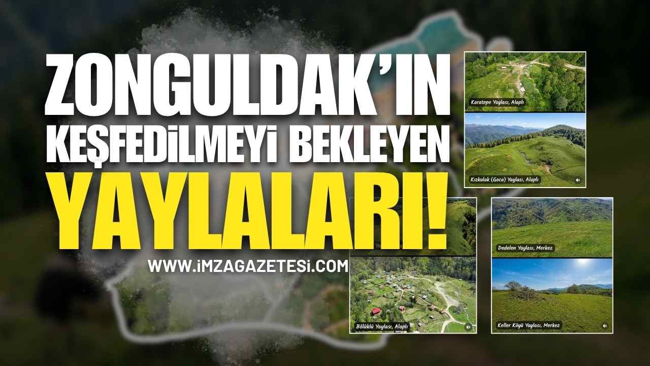 Zonguldak’ın Keşfedilmeyi Bekleyen Yaylaları!