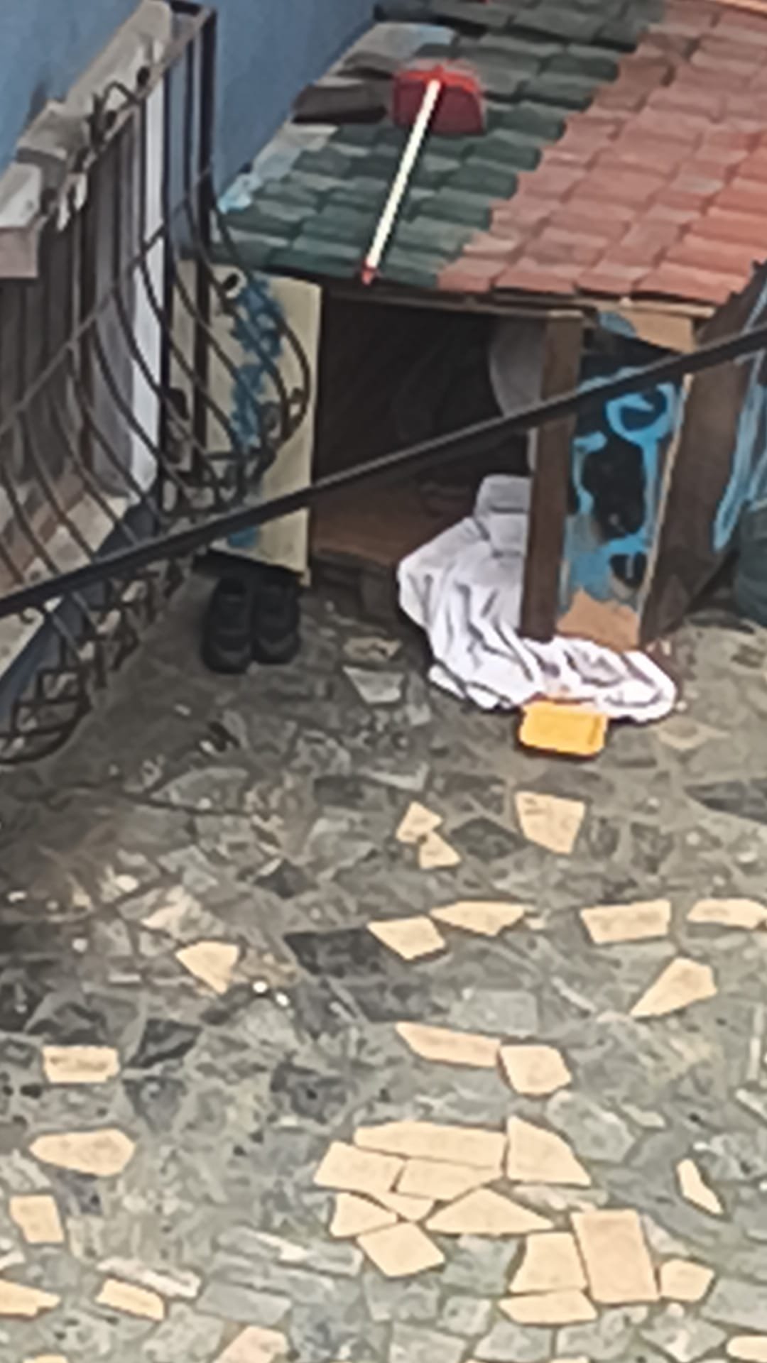 Zonguldak’ta İnsanlık Öldü! Engelli Adam Köpek Kulübesine Sığındı! İmza Gazetesi (1)-1