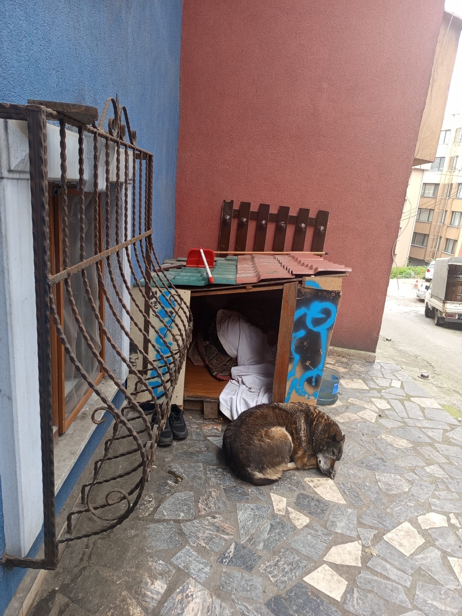 Zonguldak’ta İnsanlık Öldü! Engelli Adam Köpek Kulübesine Sığındı! İmza Gazetesi (2)