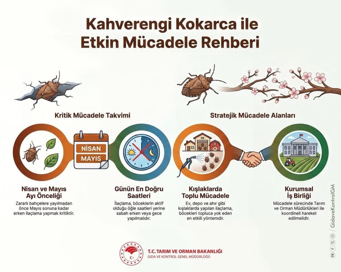 Kahverengi Kokarcayla Mücadelesinde Kritik Takvim! İmza Gazetesi̇