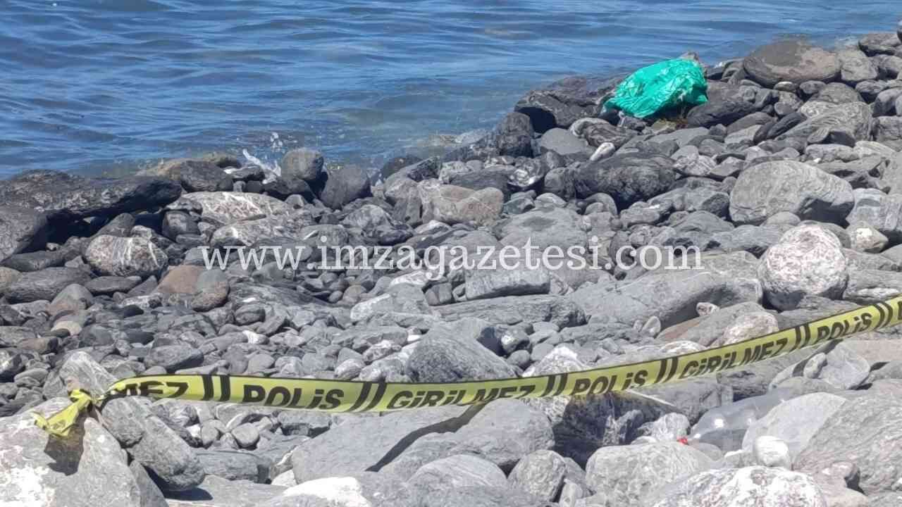 Kilimli Sahili'nde Yaşamına Son Verdi! Imza Gazetesi
