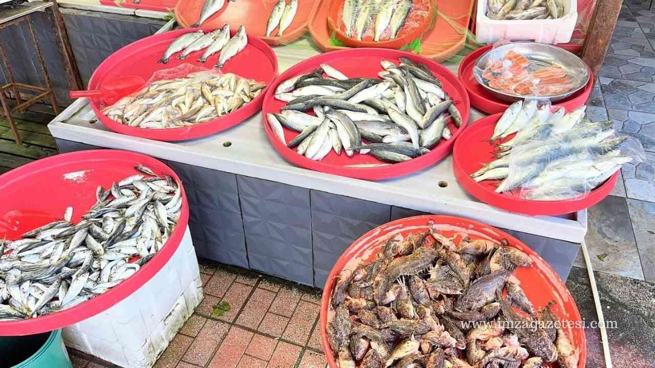 Zonguldak’ta Bayramda Balık Fiyatları Imza Gazetesi Haber