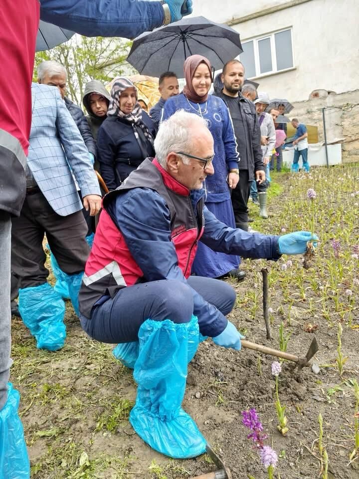 Zonguldak’ta Salep Hasadı Imza Gazetesi (1)