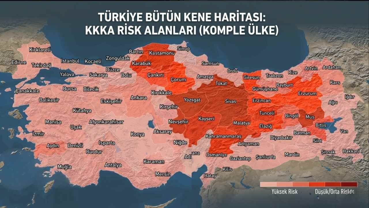 Hava Sıcaklıkları Arttı, Kkka Alarmı Verildi! Türkiye’nin Güncel Kkka Risk Haritası Ve Öne Çıkan İller! İmza Gazetesi (38)