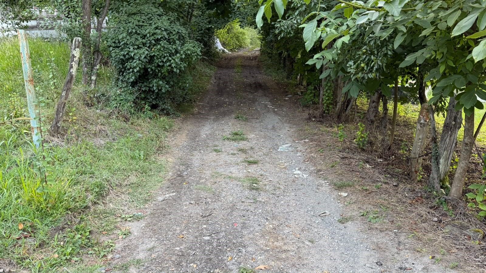 A W756516 02
