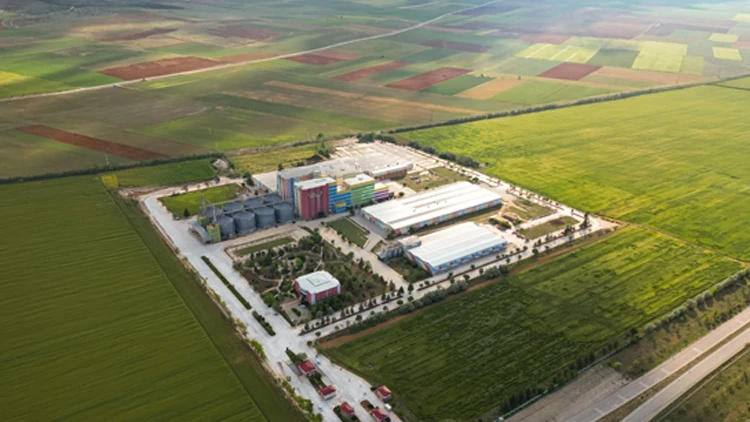Golda Gıda Halka Arz 2