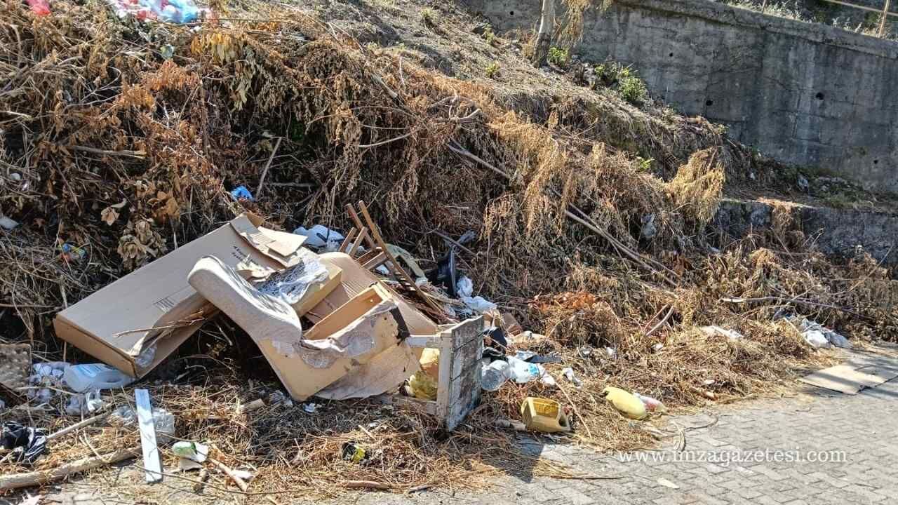 Kilimli'de Apartman Önünde Çöplük İsyanı Hem Kirlilik Hem Yangın Tehlikesi! Haber