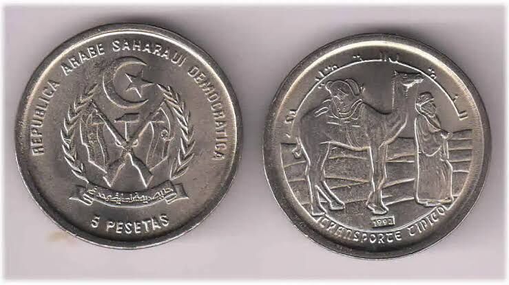 Sahara Coin Yorumları Ve Geleceği