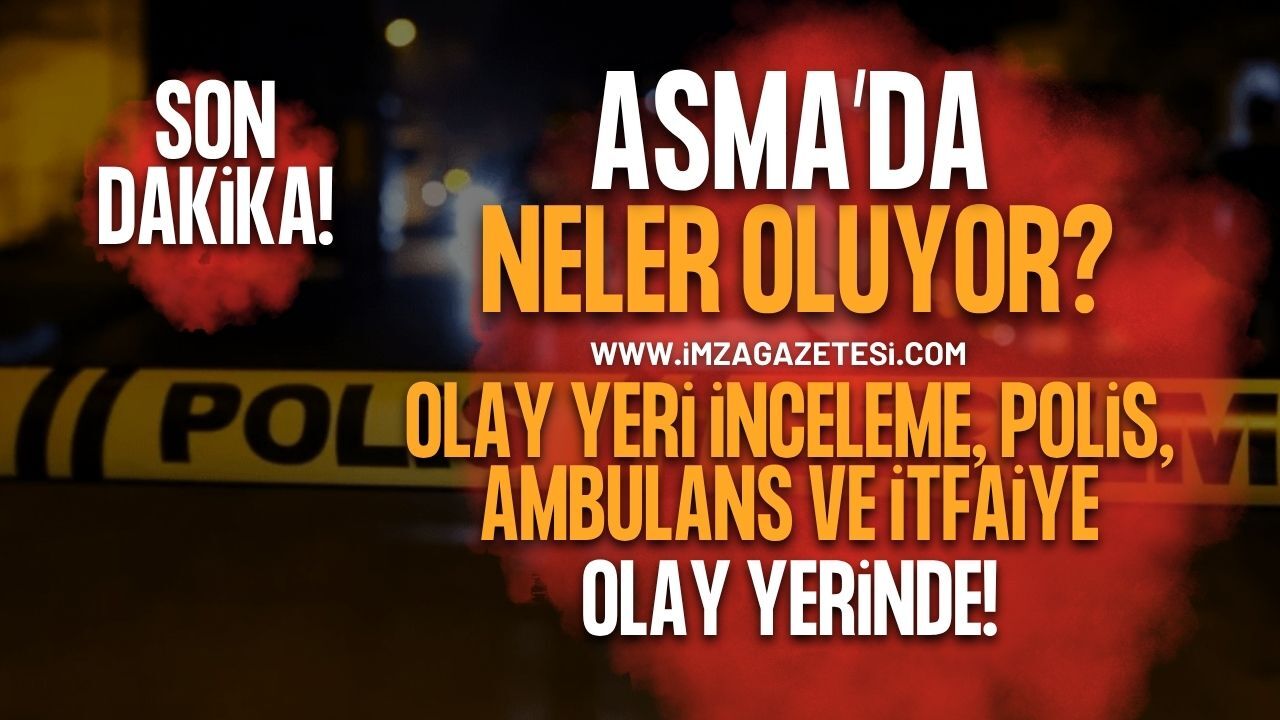 SON DAKİKA: Zonguldak Asma Mahallesi'nde Hareketli Gece! Çok Sayıda Ekip Bölgeye Sevk Edildi