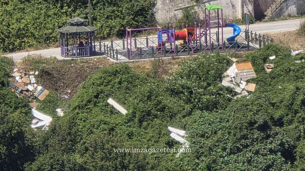 Zonguldak'ın İlçesinde Çevre Katliamı Bu Ne Rezillik Zonguldak Kozlu