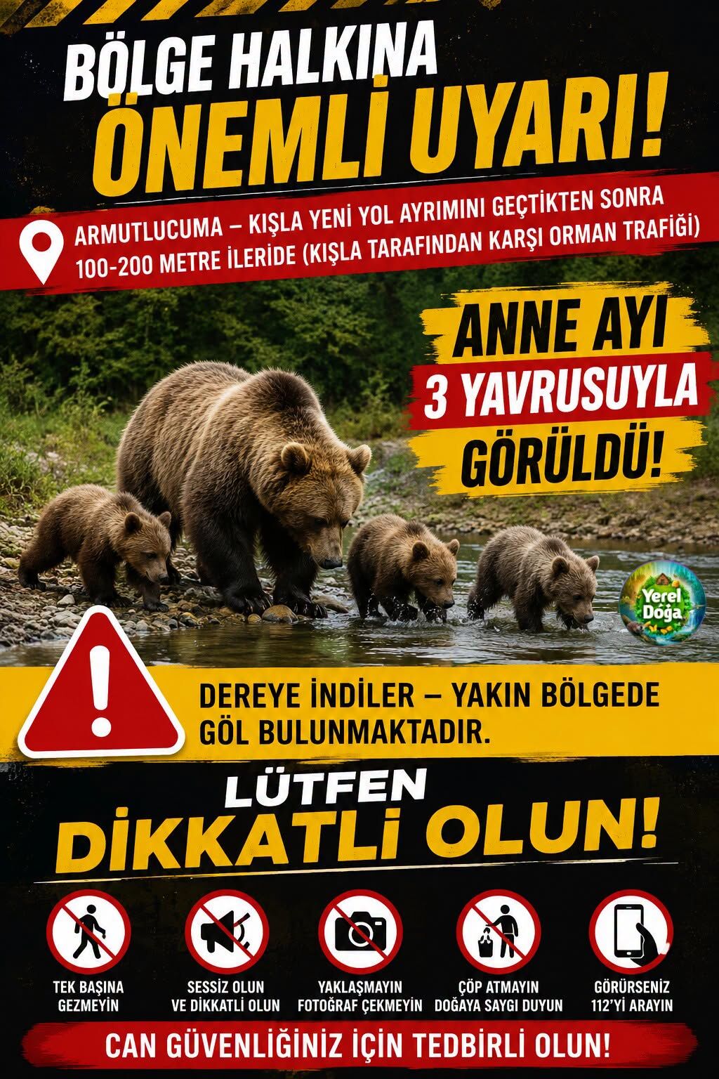 Zonguldak'ta Ayı Alarmı Armutlucuma Yolu İçin Uyarı Verildi