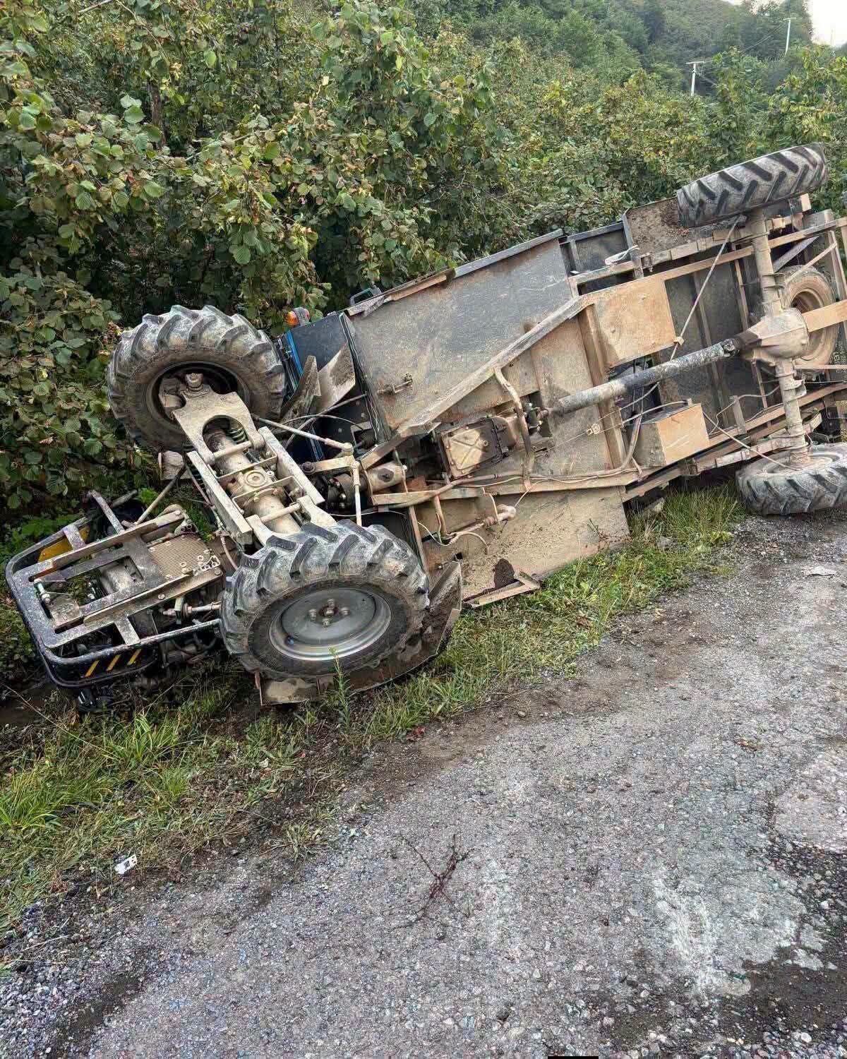 778486141 1749360399438062 2305590360331139764 N