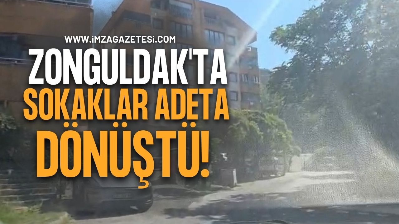Zonguldak'ta Sokaklar Adeta Tarlaya Dönüştü!