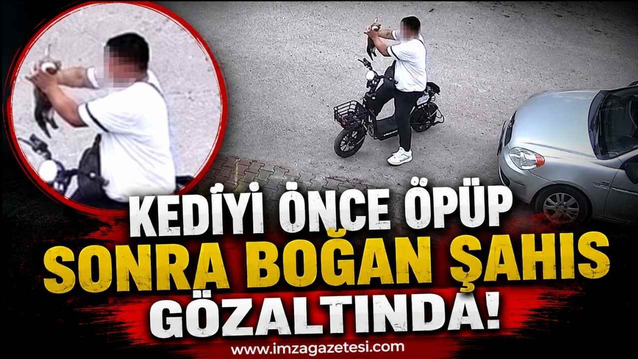 Kediyi Önce Öpüp Sonra Boğan Şahıs Gözaltında!
