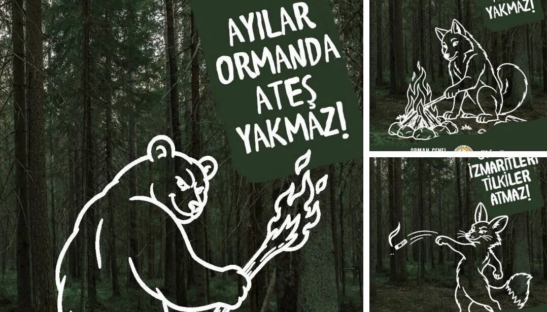 Ayılar Ormanda Ateş Yakmaz!