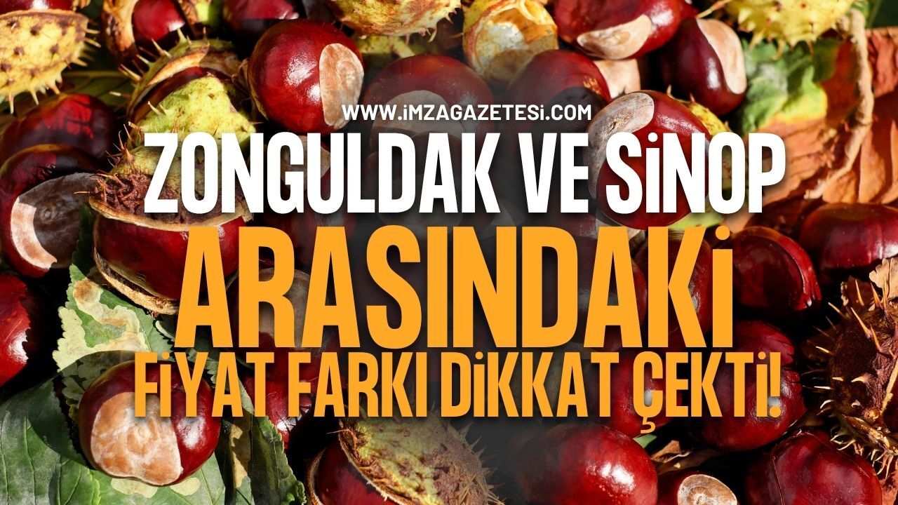 Zonguldak ve Sinop Arasındaki Kestane Fiyat Farkı Dikkat Çekti