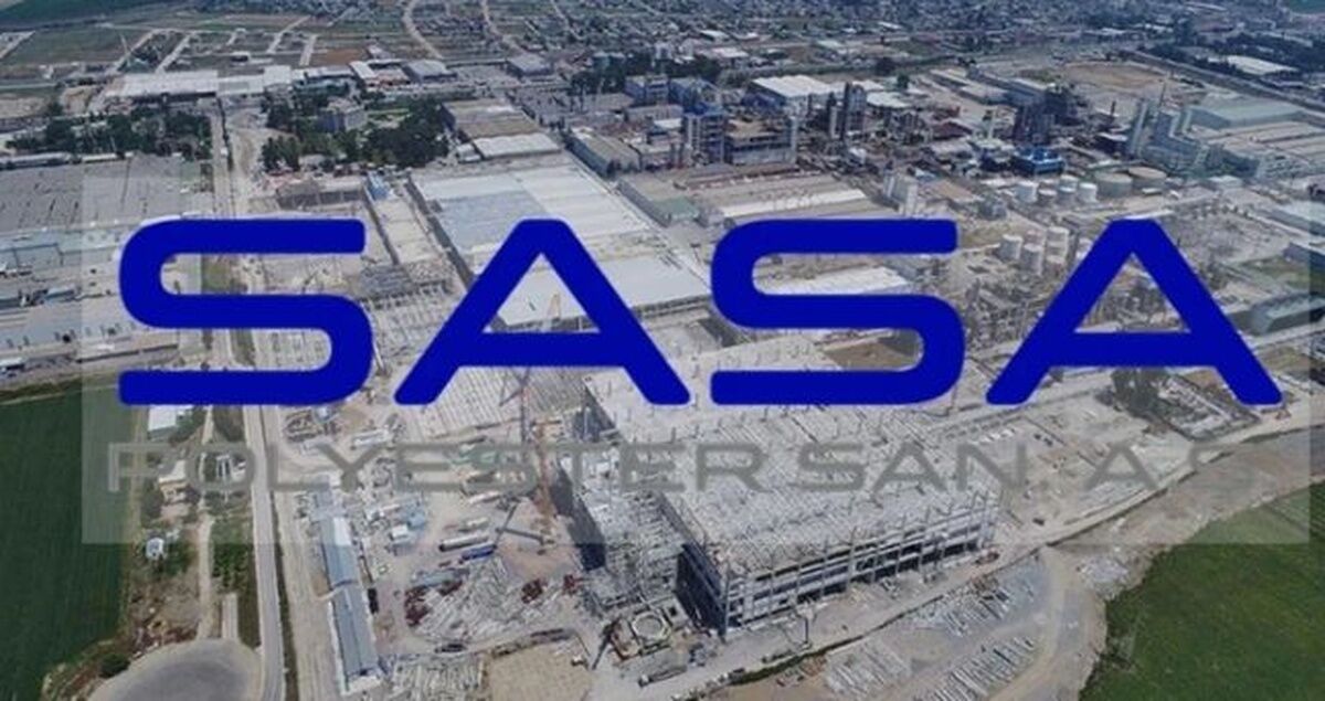 Sasa Neden Düşüyor 1