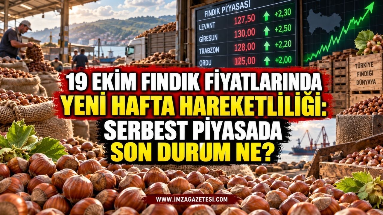 19 Ekim Fındık Fiyatlarında Yeni Hafta Hareketliliği: Serbest Piyasada Son Durum Ne?