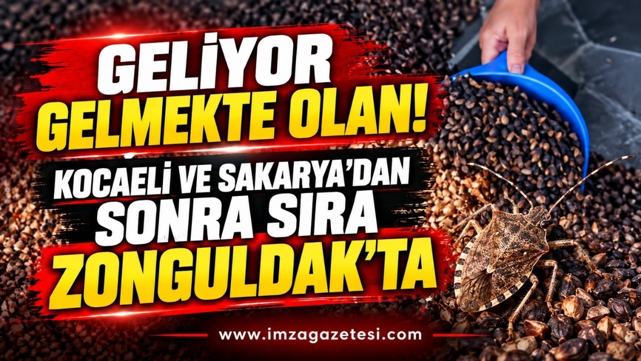 Geliyor gelmekte olan! Kocaeli ve Sakarya'dan sonra sıra Zonguldak'ta...