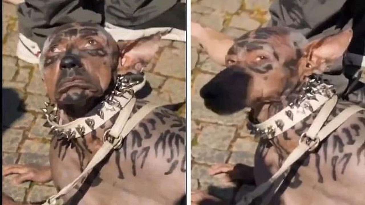 Köpek Olan Adam Gerçek Mi 11