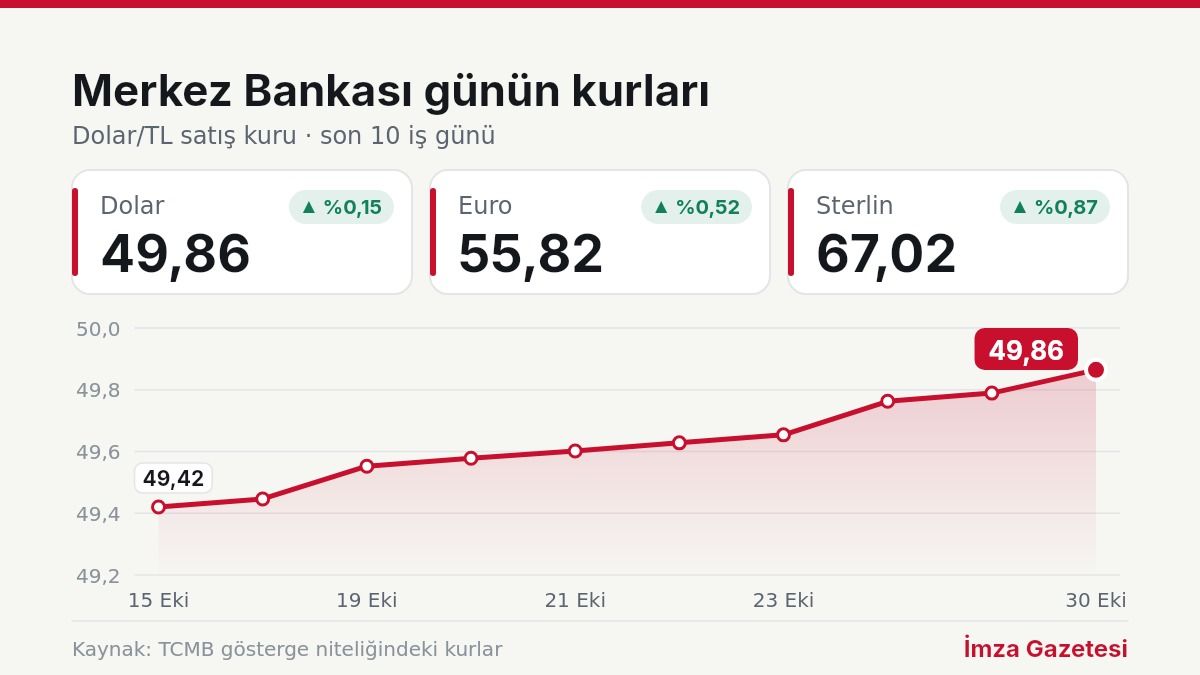 Merkez Bankası döviz kurları grafiği